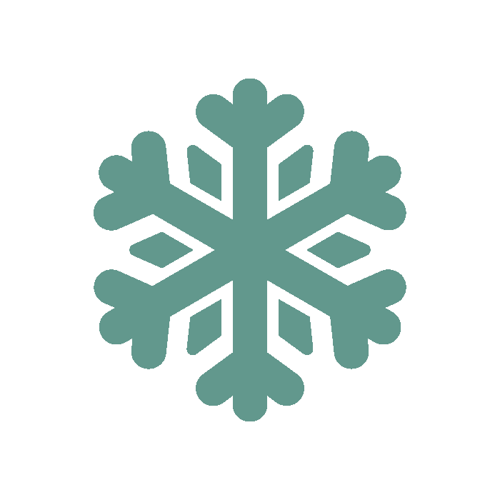 Teal snowflake icon on a white background